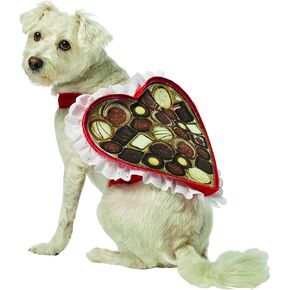 Rasta Imposta Chocolate Box Dog Costume, X-Small