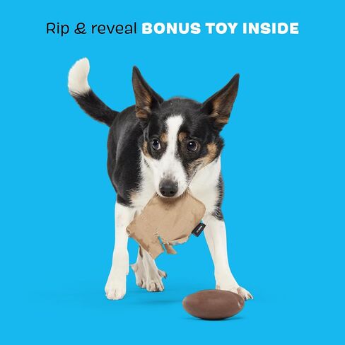 BARK Jutter Pug Coffee Bean Dog Toy for Medium Dogs – Hidden Surprise Toy Inside for Engaged and Excited Playtime Fun in Kuwait