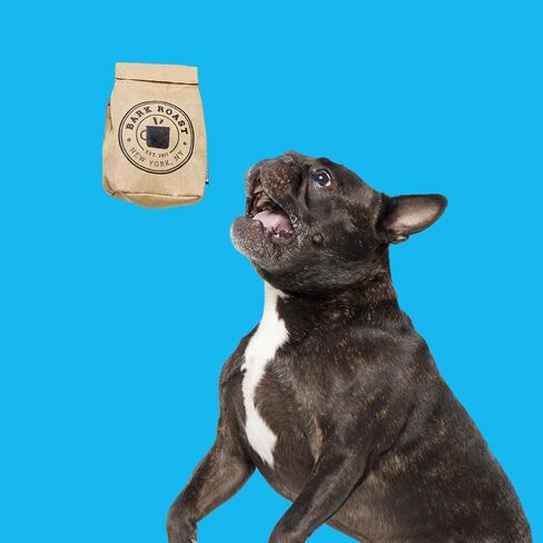 BARK Jutter Pug Coffee Bean Dog Toy for Medium Dogs – Hidden Surprise Toy Inside for Engaged and Excited Playtime Fun in Kuwait