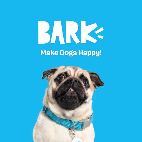 BARK Jutter Pug Coffee Bean Dog Toy for Medium Dogs – Hidden Surprise Toy Inside for Engaged and Excited Playtime Fun in Kuwait