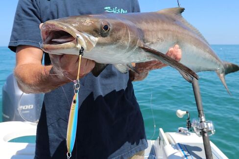 Palomar Fishing Flat Side Ocean Jig Fast Vertical Deep Drop Lure | MUSTAD Hook-Owner Ring | Kevlar Assist Cord|Next-Gen Graphene Paint | US Owned in Saudi Arabia