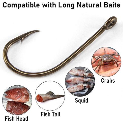 Dr.Fish 100 Pack Beak Hook, Bronze, Reversed Hollow Point, Offset Saltwater J Hooks Live Bait Hooks Striper Bass Flounder Snapper in Kuwait