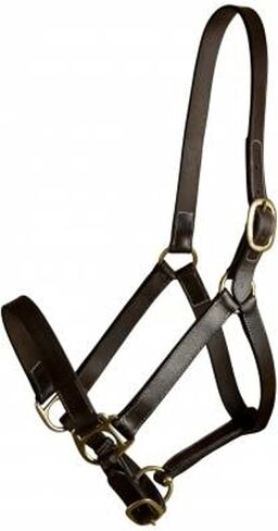 Gatsby Adj Turnout Leather Halter No Snap in Kuwait