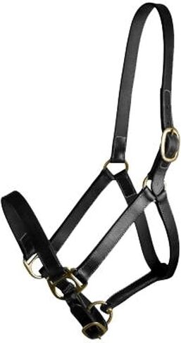 Gatsby Adj Turnout Leather Halter No Snap in Kuwait