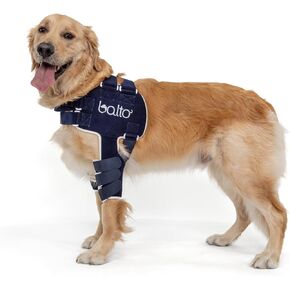Balto Lux دعامة كتف للكلاب قابلة للتعديل - دعامة كتف - تدعم خلل التنسج في الكتف - دعم ما بعد الجراحة أو بديل جراحي (متوسط)