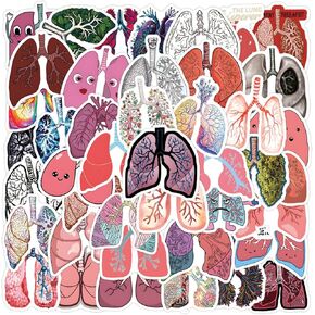 Colorful Lung Stickers Pack 55PCS Cute Cartoon Organ Stickers for Kids Teens Adults, Kechup Waterproof Vinyl Funny Decals for Water Bottles Laptop Journaling Phone