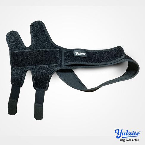 Dog Knee Brace for Torn ACL Hind Leg, Dog Knee Brace for luxating patella, Dog Arthritis Brace, Dog Leg Brace Maintains Joint Warmth and Stability, Alleviates Pain Reduces Inflammation (Large) in Saudi Arabia