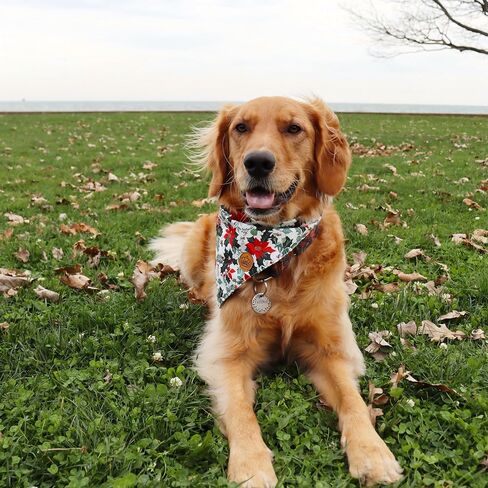 CROWNED BEAUTY Christmas Dog Bandanas Reversible Large 2 Pack, Holiday Blooms Set, Plaid Adjustable Triangle Holiday Scarves for Medium Large Extra Large Dogs Boy Girl Pets DB144-L in Saudi Arabia