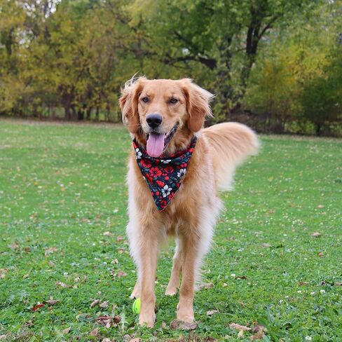 CROWNED BEAUTY Christmas Dog Bandanas Reversible Large 2 Pack, Holiday Blooms Set, Plaid Adjustable Triangle Holiday Scarves for Medium Large Extra Large Dogs Boy Girl Pets DB144-L in Saudi Arabia