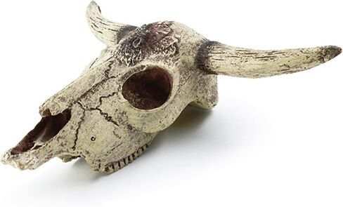 Aquarium Decoration, Fish Tank Small Skull,Fish Turtle Hidden, Bonsai beautification,Decor Statue for Fish Aquarium Cave Landscape(Cattle Skull) in Saudi Arabia