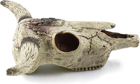 Aquarium Decoration, Fish Tank Small Skull,Fish Turtle Hidden, Bonsai beautification,Decor Statue for Fish Aquarium Cave Landscape(Cattle Skull) in Saudi Arabia