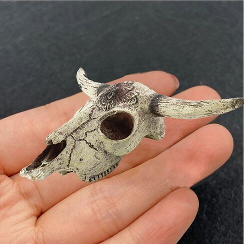 Aquarium Decoration, Fish Tank Small Skull,Fish Turtle Hidden, Bonsai beautification,Decor Statue for Fish Aquarium Cave Landscape(Cattle Skull) in Saudi Arabia