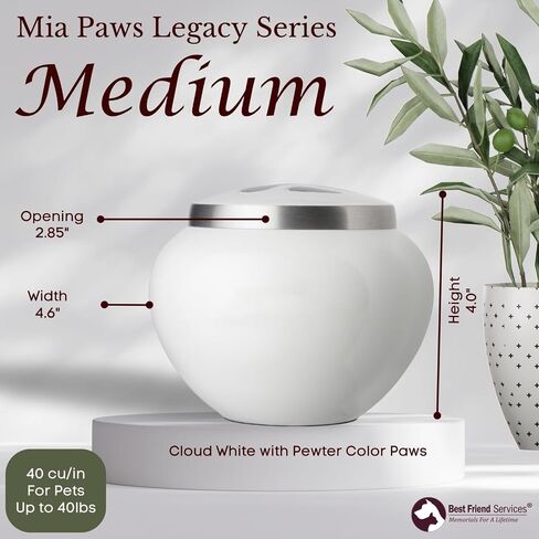 Pet Urn - Memorial Cremation Pet Urns for Dog and Cat Ashes, Hand Carved Mia Series Urn for Pets up to 40lbs (Medium, Cloud White, Pewter Paw) in Kuwait
