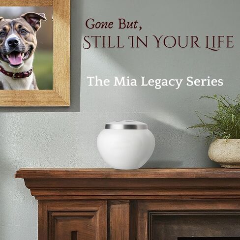 Pet Urn - Memorial Cremation Pet Urns for Dog and Cat Ashes, Hand Carved Mia Series Urn for Pets up to 40lbs (Medium, Cloud White, Pewter Paw) in Kuwait