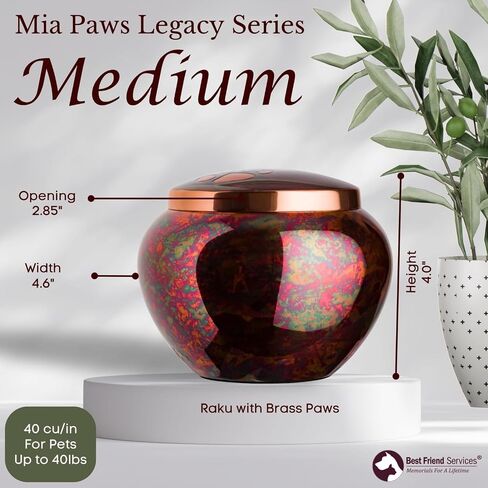 Pet Urn - Memorial Cremation Pet Urns for Dog and Cat Ashes, Hand Carved Mia Series Urn for Pets up to 40lbs (Medium, Cloud White, Pewter Paw) in Kuwait