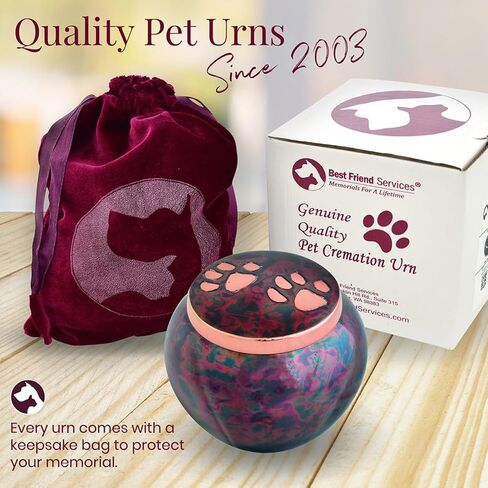 Pet Urn - Memorial Cremation Pet Urns for Dog and Cat Ashes, Hand Carved Mia Series Urn for Pets up to 40lbs (Medium, Cloud White, Pewter Paw) in Kuwait