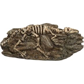 Aquarium Dinosaur Fossil Ornament, Artificial Resin Dinosaur Fossil Landscape for Betta Hiding Reptile, Aquarium Supplies Reptile Cave Platform Aquarium Decor Ornament Basking Platform