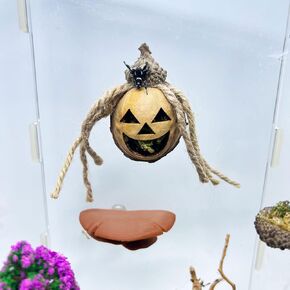 Jumping Spider Hideout, Handmade Jumping Spider Hideaway, Spider Jumping Climbing Platform, Magnetic Jumping Spider Swing, Accessory for Small Animal Enclosures (Pattern 1)