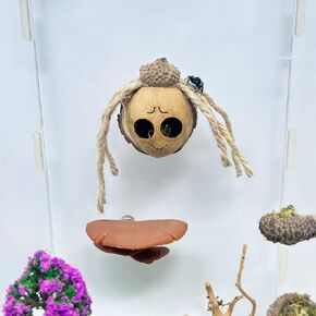 Jumping Spider Hideout, Handmade Jumping Spider Hideaway, Spider Jumping Climbing Platform, Magnetic Jumping Spider Swing, Accessory for Small Animal Enclosures (Pattern 1)