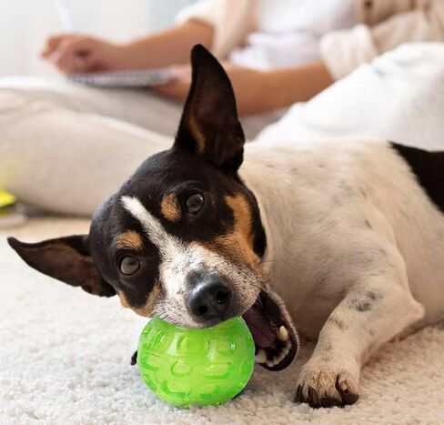 WEEN Dog Toy Ball Interactive Dog Toy Ball, Funny Giggle Sounds Wobble Wag Dog Ball Squeaky Pet Toy for Training Clean Grind Teeth Indoor Outdoor Gifts (Blue) in Saudi Arabia