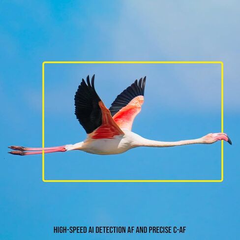 حزمة كاميرا OM SYSTEM OM-1 Mark II بدون مرآة (الجسم فقط) مع مسجل شاشة HDR 1000nit مقاس 5.2 بوصة، ومجموعة ملحقات شاشة ومسجل 5 بوصة، وحامل شاشة 5 بوصة و7 بوصة (4 عناصر) in Kuwait