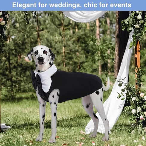 Dog Tuxedo Dog Suit and Bandana Set, Black, M- Dog Birthday Bandana,Dog Tuxedo for Small Dogs£¬Dog Prince Wedding Bow Tie Suit for Jack Russell, Mini Schnauzer, 2 Pieces/Pack in Saudi Arabia
