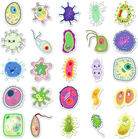 50pcs Germ Meme Stickers Cute Cartoon Waterproof Vinyl Virus Stickers for Water Bottle Laptop Colorful Cells Stickers Pack for Party Supplies School Reword (Cell) in Saudi Arabia