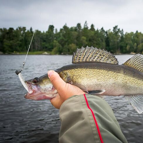 Cobee Soft Fishing Bass Lures, Paddle Tail Swimbaits Silicone Swim Baits Bass Lures Drop Shot Lures for Trout Crappie Bass Saltwater, Freshwater 2.75 in (White) in Saudi Arabia