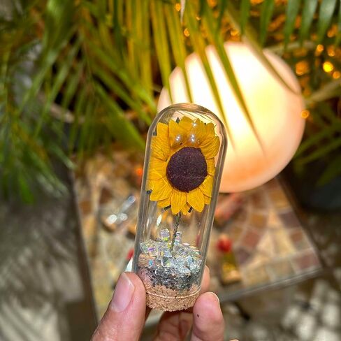 Red Rose Golden Glitter Powder Wedding Party Decoration Supplies, 11 pcs Beauty Beast Party Guests Souvenir Gifts Dome Bottles Gorgeous Party Gift for Wedding Bride Shower Engagement-14 in Saudi Arabia