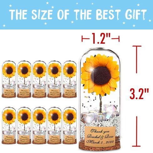 Red Rose Golden Glitter Powder Wedding Party Decoration Supplies, 11 pcs Beauty Beast Party Guests Souvenir Gifts Dome Bottles Gorgeous Party Gift for Wedding Bride Shower Engagement-14 in Saudi Arabia