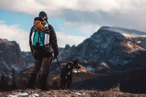 Wild Grip Dog Leash - Signature Waterproof and Odor Proof Dog Lead with Extreme Grip | 6ft in Kuwait