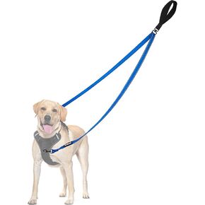 PetBonus Two Point Control Dog Leash, Works with No Pull Harnesses, No Tangle Dog Training Leashes, No Pull Padded and Reflective Walking Lead, Converts to Single Leash for Medium Large Dogs