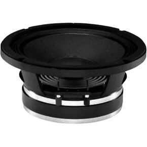 B&C Speakers 10PE26-8 LF Drivers 10-inch High Efficiency Mid-Bass, 2.5-inch Aluminium Voice Coil 250 Watts Rms 500 Watts Max 8 Ohms Pro Audio Component Speaker Driver for Motorcycle Car