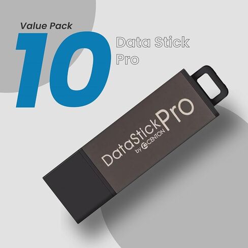 محرك فلاش Centon Electronics DataStick Pro USB 2.0، محرك فلاش USB سعة 4 جيجابايت، رمادي in Kuwait