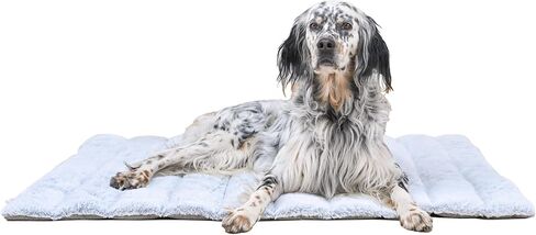 Small Rectangular Anthracite Dog and Cat Bed - Relieves and Preserves Joints - Reversible Summer/Winter mat and Easy to Carry - Machine Washable and Does Not Deform in Saudi Arabia