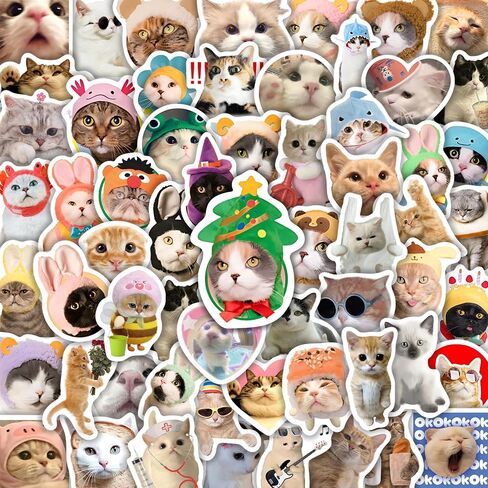 50 Pcs Funny Cat Stickers for Water Bottle, Adults Fun Cat Meme Laptop Decals, Waterproof Vinyl Kawaii Animal Sticker, Phone Case, Luggage, Scrapbook, Hard Hat, Bumper, Cat Lover in Saudi Arabia