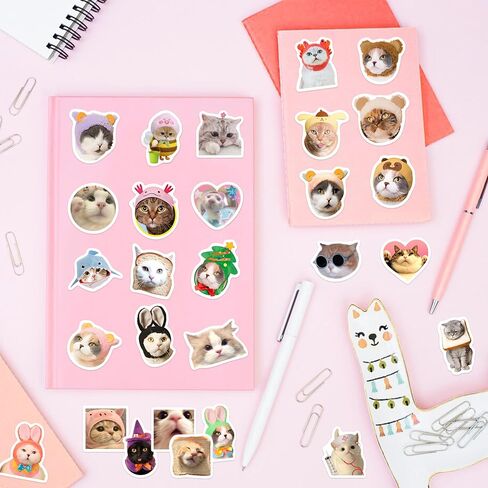 50 Pcs Funny Cat Stickers for Water Bottle, Adults Fun Cat Meme Laptop Decals, Waterproof Vinyl Kawaii Animal Sticker, Phone Case, Luggage, Scrapbook, Hard Hat, Bumper, Cat Lover in Saudi Arabia