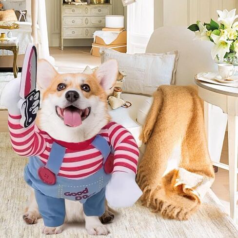 Dog Halloween Costumes Pet Deadly Doll Costume Funny Chucky Cosplay for Small Medium and Large Dogs (M) in Saudi Arabia