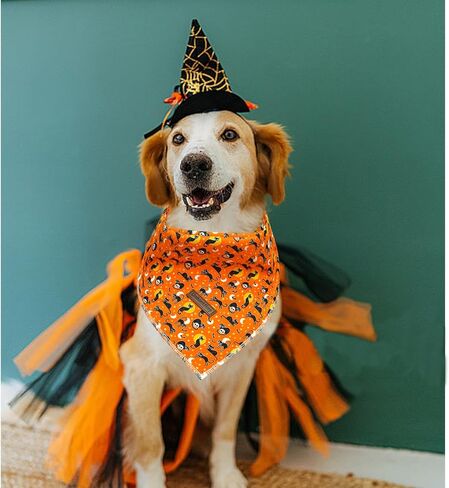 الأسد القلب المجد الخريف منقوشة الكلب باندانا هالوين اليقطين الكلاب باندانا 1 حزمة قابل للغسل لينة الكلب وشاح، مربع قابل للتعديل الكلب عصابات للكلاب المتوسطة الكبيرة in Kuwait