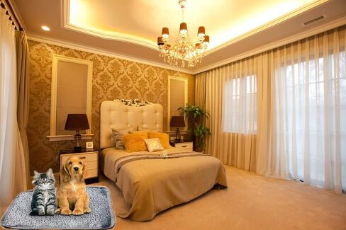 XXL Pet Heating Pad for Large Dog House Heater Indoor,Electric Adjustable Cat Warming Mat with Chew Resistant Cord Waterproof Heated Dog Bed Home,Easy to Clean and Safe,34" x 21"(Grey) in Saudi Arabia