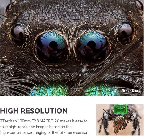 TTArtisan 100 مللي متر F2.8 ماكرو 2X عدسات تركيز يدوية إطار كامل عدسة الكاميرا لكاميرات كانون RF-Mount كاميرات EOS R RP R5 R5C R6 R6II R3 R8 in Kuwait