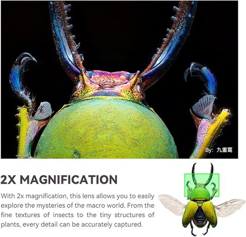 TTArtisan 100 مللي متر F2.8 ماكرو 2X عدسات تركيز يدوية إطار كامل عدسة الكاميرا لكاميرات كانون RF-Mount كاميرات EOS R RP R5 R5C R6 R6II R3 R8 in Kuwait