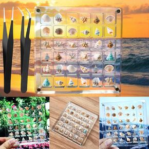 Acrylic Magnetic Seashell Display Box,Clear Sea Shell Holder Display Box,Beach Shelling Tools Storage Organizer Bag,Seashell Display Case(36 grids)