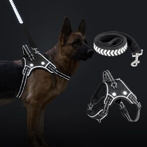 Light Up Dog Harness,LED Dog Harness for Small Medium Large Dog,Reflective No Pull Dog Vest Harness with Leash Set,Rechargeable Flashing Lighted Dog Harness for Night Walking (Black/S)