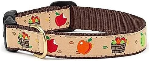 Up Country Apple of My Eye Dog Collar, Medium (12 to 18 inches) 1 inch Wide Width in Saudi Arabia