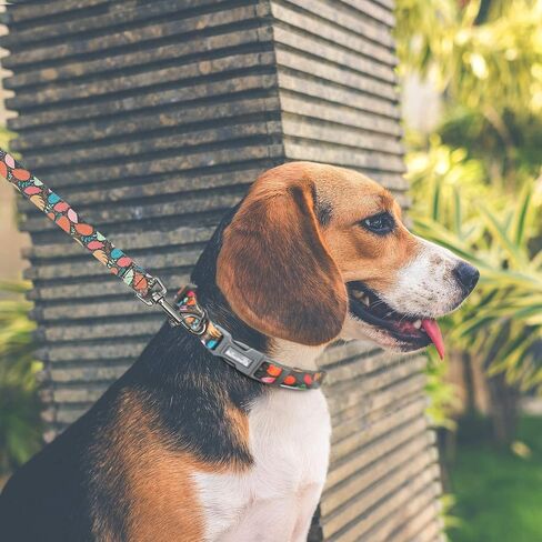 5FT Nylon Dog Leash with Easy to Use Bolt Snap for Training,Walking Lead for Large,Medium&Small Dogs- Available in Multiple Widths and Classic Floral Colors in Saudi Arabia