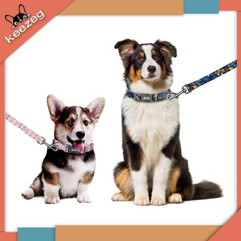 5FT Nylon Dog Leash with Easy to Use Bolt Snap for Training,Walking Lead for Large,Medium&Small Dogs- Available in Multiple Widths and Classic Floral Colors in Saudi Arabia