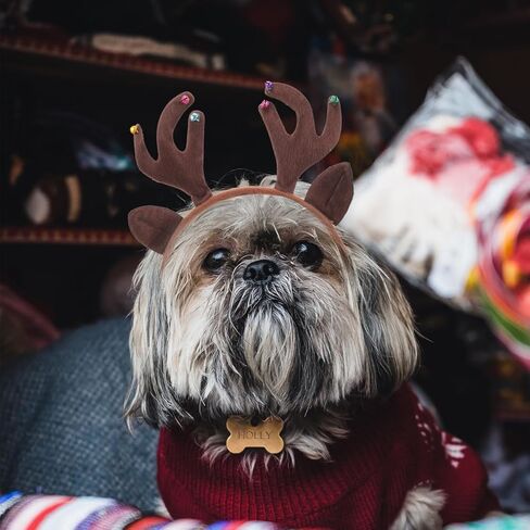ABOOFAN الكلب إلك الرنة قرن الوعل عقال الحيوانات الأليفة الأيائل أغطية الرأس مع جرس عيد الميلاد زي أغطية الرأس الملحقات للكلاب والقطط الصغيرة والمتوسطة الكبيرة in Kuwait