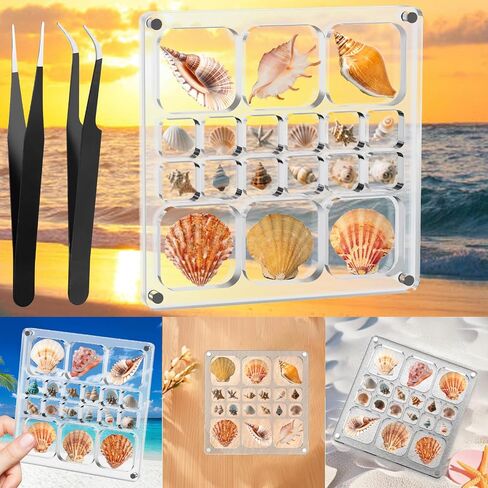 Acrylic Magnetic Seashell Display Box,Clear Sea Shell Holder Display Box,Beach Shelling Tools Storage Organizer Bag,Seashell Display Case(36 grids) in Saudi Arabia