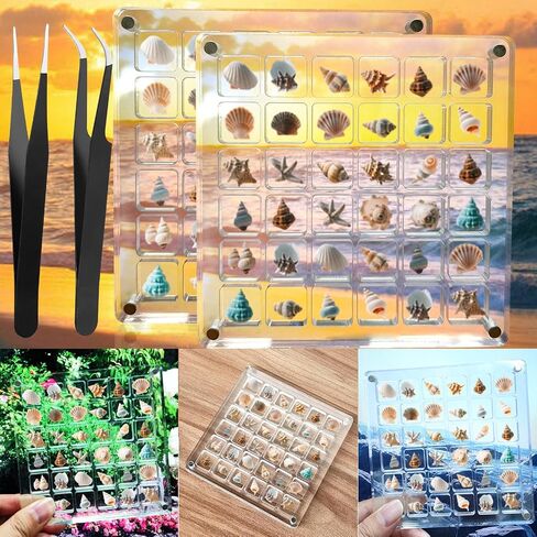 Acrylic Magnetic Seashell Display Box,Clear Sea Shell Holder Display Box,Beach Shelling Tools Storage Organizer Bag,Seashell Display Case(36 grids) in Saudi Arabia